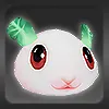Aoba Rabbit