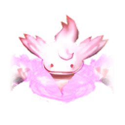Pet