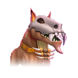 Pet