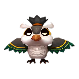 Pet
