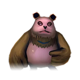 Pet