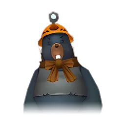Pet