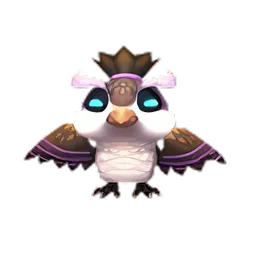 Pet