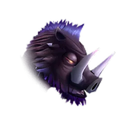 Pet