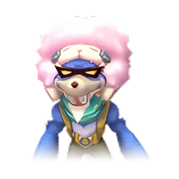 Pet