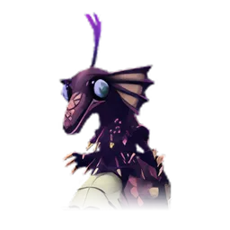 Pet