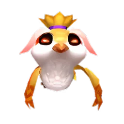Pet
