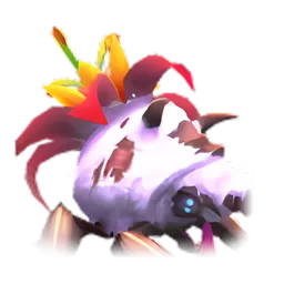 Pet