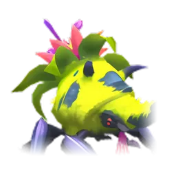 Pet