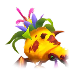 Pet