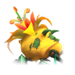 Pet