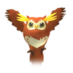 Pet