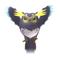 Pet