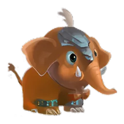 Pet
