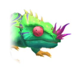 Pet