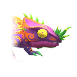 Pet