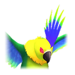 Pet