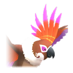 Pet