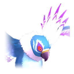 Pet