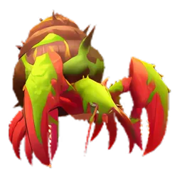 Pet