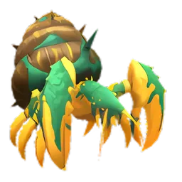 Pet