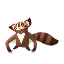 Pet