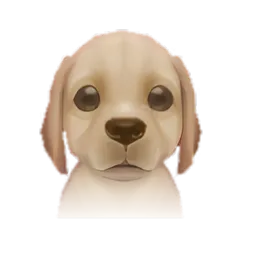 Pet