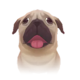 Pet