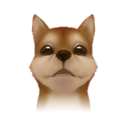 Pet