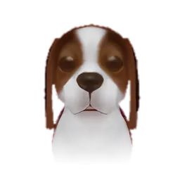 Pet