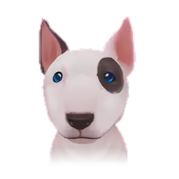 Pet
