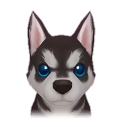 Pet