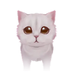 Pet