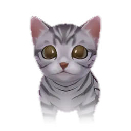 Pet
