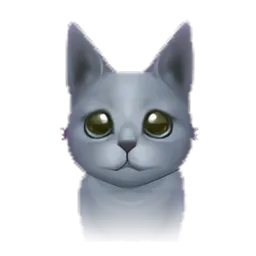 Pet