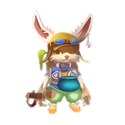 Pet