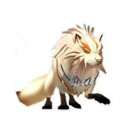 Pet