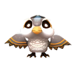 Pet