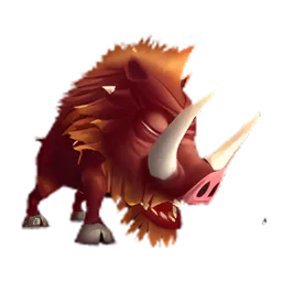 Pet