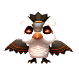 Pet