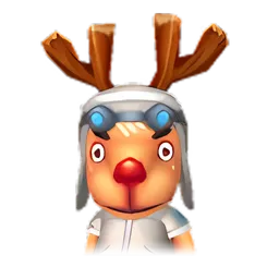Pet