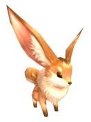 Pet
