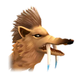 Pet