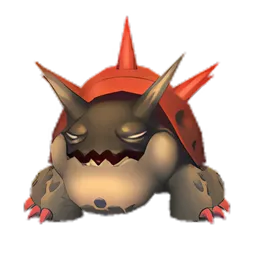 Pet