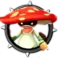 Towtul