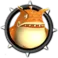 Desert Lizard