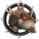 Dark Pupa-Pupa