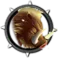 Furious Boar