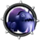 Midnight Pupa-Pupa
