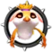 Sun Owl